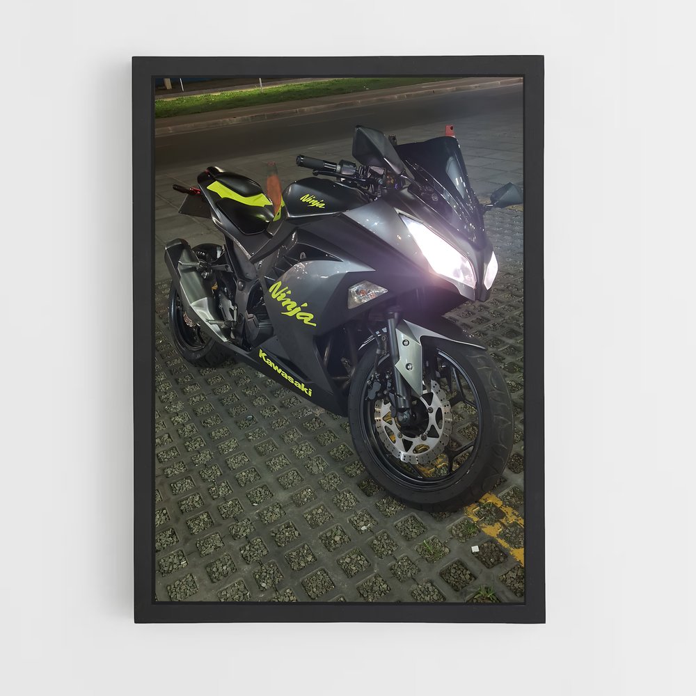 Poster Nuit de Moto (vue 2)